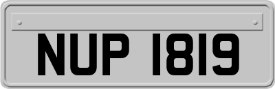 NUP1819