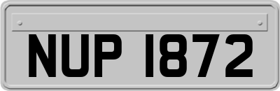 NUP1872