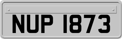 NUP1873