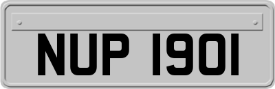 NUP1901