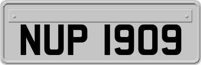 NUP1909