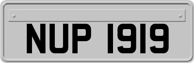 NUP1919