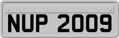 NUP2009