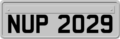 NUP2029