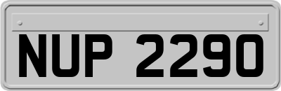 NUP2290
