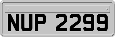 NUP2299