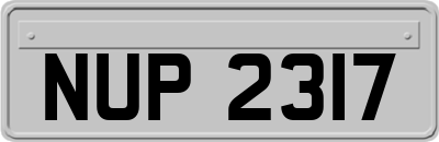 NUP2317
