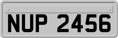 NUP2456