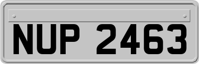 NUP2463