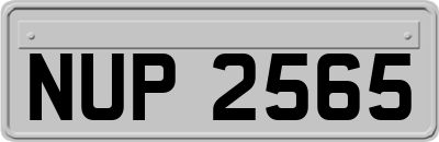 NUP2565