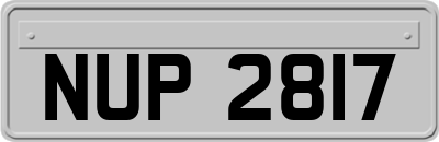 NUP2817