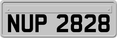 NUP2828