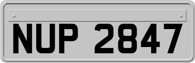 NUP2847