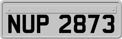 NUP2873