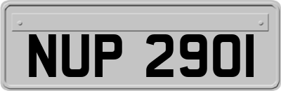 NUP2901