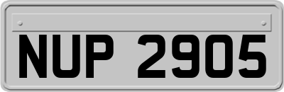 NUP2905