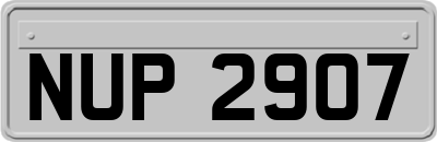 NUP2907