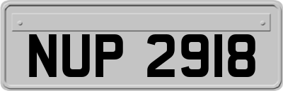 NUP2918