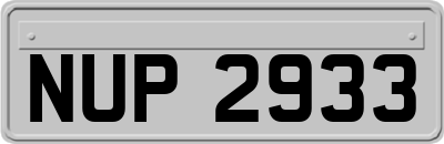 NUP2933
