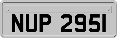 NUP2951