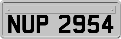 NUP2954