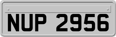 NUP2956