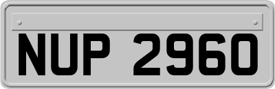 NUP2960