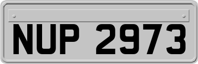NUP2973