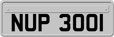 NUP3001