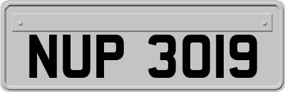 NUP3019