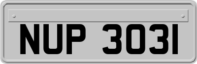 NUP3031