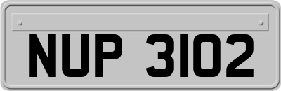 NUP3102
