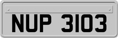 NUP3103