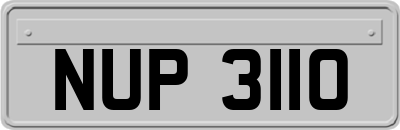 NUP3110