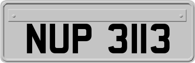 NUP3113