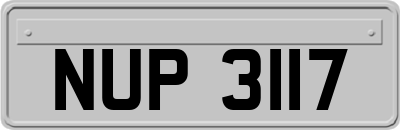 NUP3117