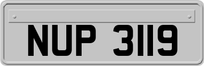 NUP3119