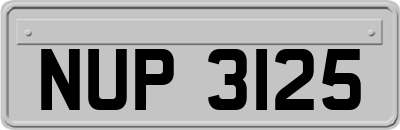 NUP3125