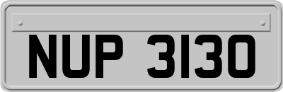 NUP3130