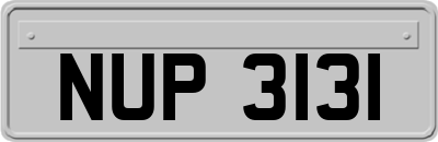 NUP3131