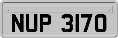 NUP3170