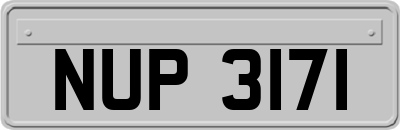 NUP3171