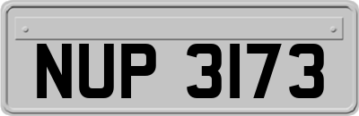 NUP3173