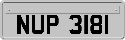 NUP3181