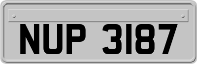 NUP3187