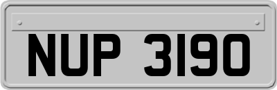 NUP3190