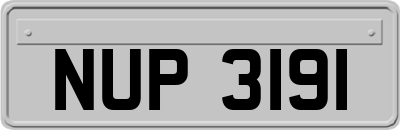NUP3191