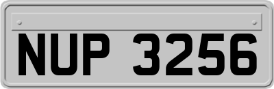 NUP3256