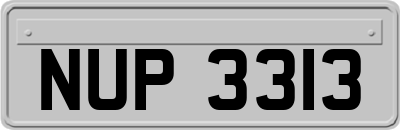 NUP3313