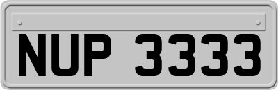 NUP3333